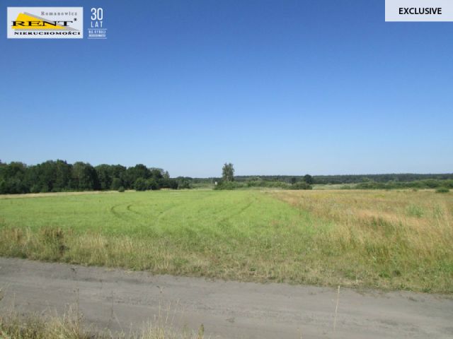 Działka inwestycyjna Kicko. Zdjęcie 5