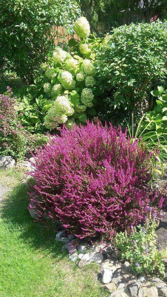 Działka rod Warszawa Targówek, ul. Janowiecka. Zdjęcie 7