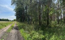 Działka rolna Trzebule. Zdjęcie 2