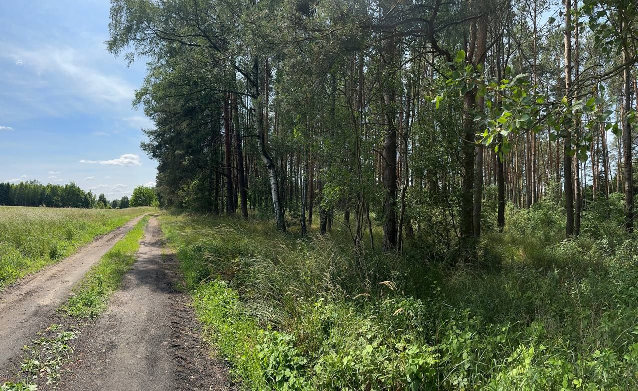 Działka rolna Trzebule. Zdjęcie 3