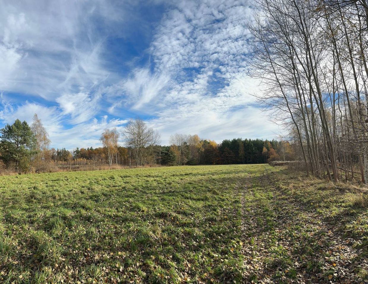 Działka budowlana Wymiarki. Zdjęcie 10