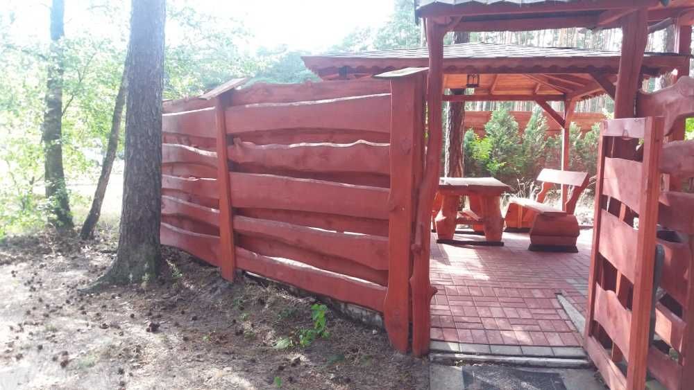 dom letniskowy Sielpia Wielka. Zdjęcie 6