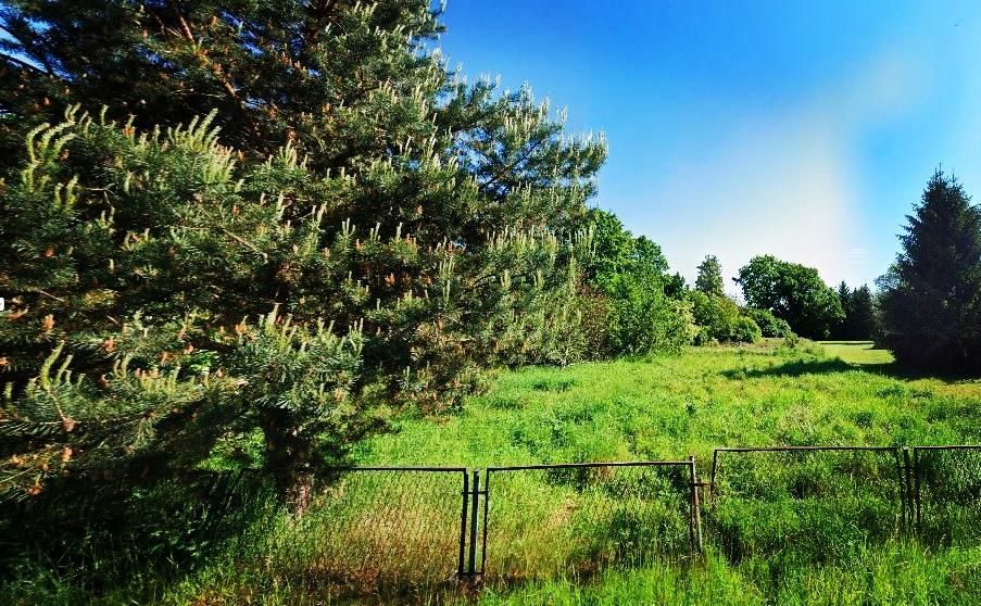 Działka budowlana Jędrzychów. Zdjęcie 3