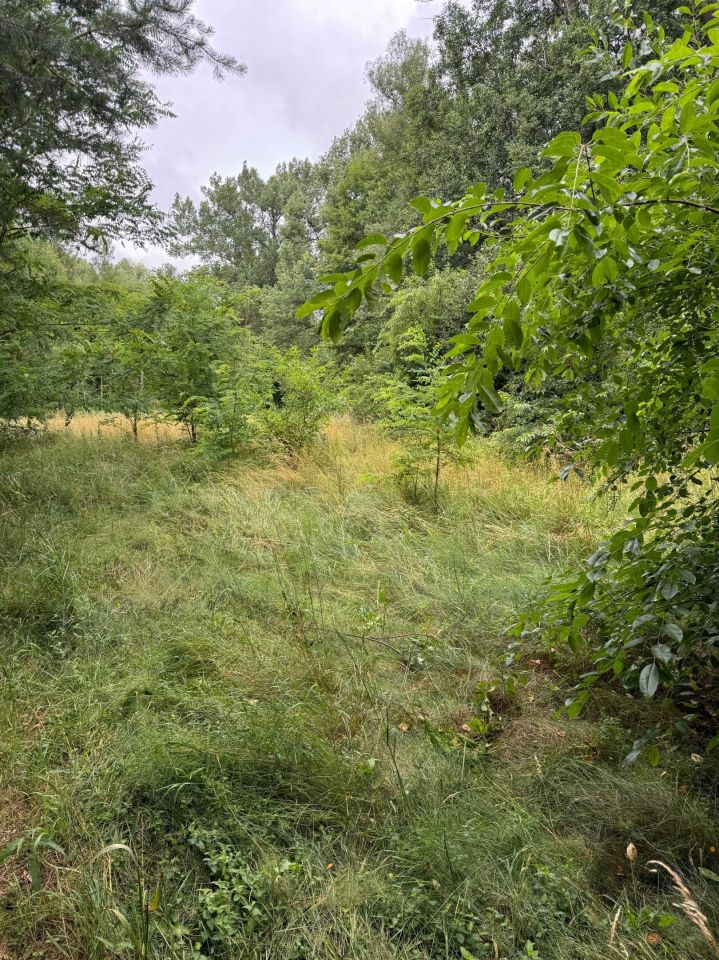 Działka rekreacyjna Tomaszów Mazowiecki, ul. Kotlinowa. Zdjęcie 4