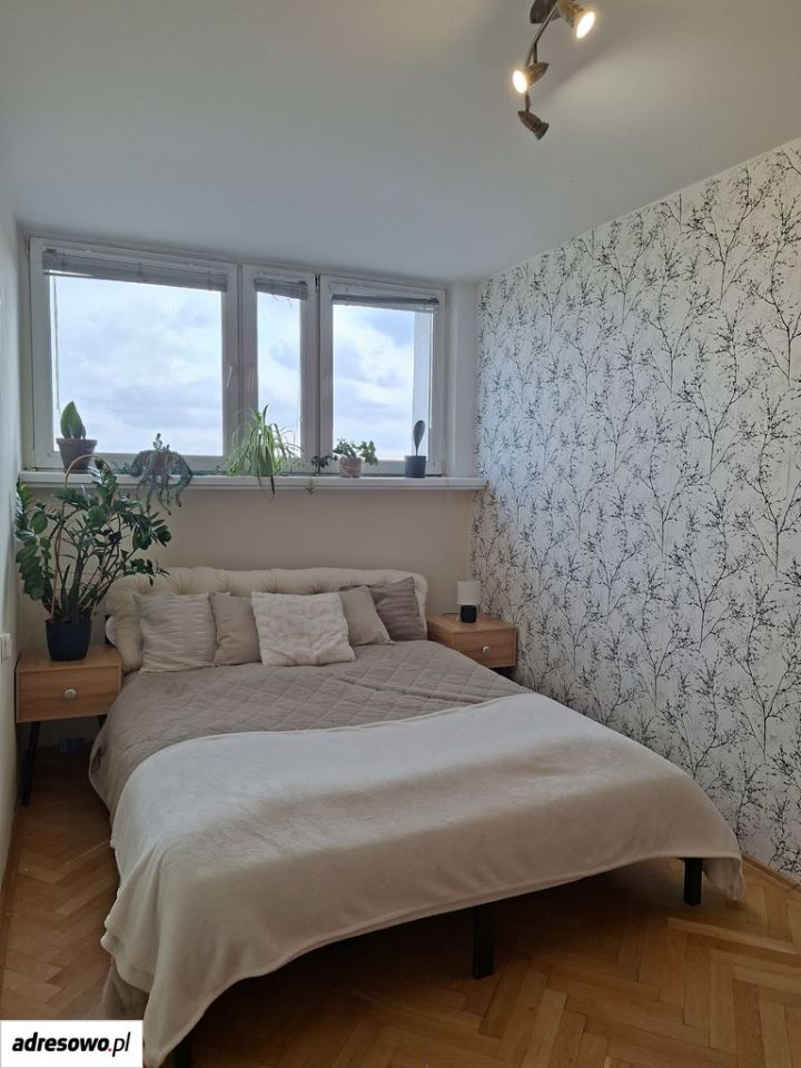 Mieszkanie 2-pokojowe Poznań Grunwald, ul. Krzysztofa Arciszewskiego. Zdjęcie 3