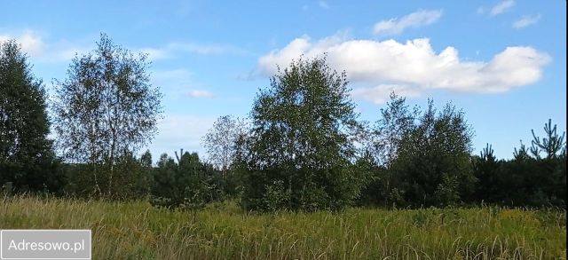 Działka budowlana Stradomia Wierzchnia, ul. Klonowa. Zdjęcie 1