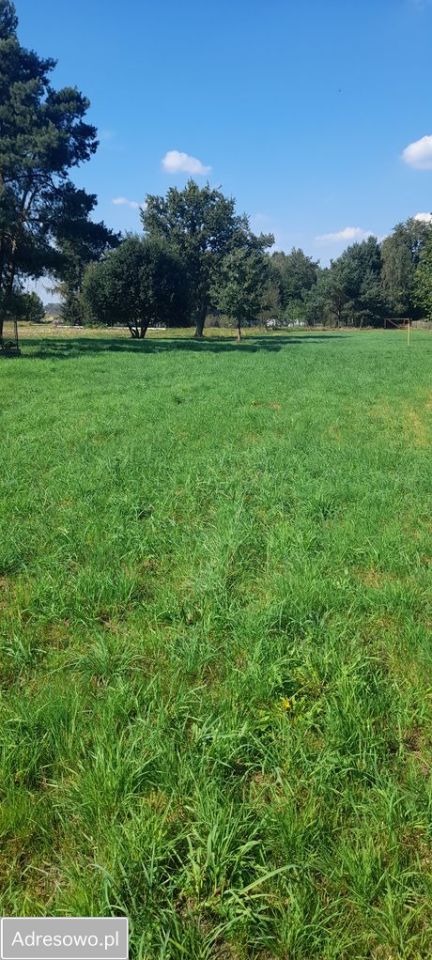 Działka budowlana Gostyń, ul. Rybnicka. Zdjęcie 1