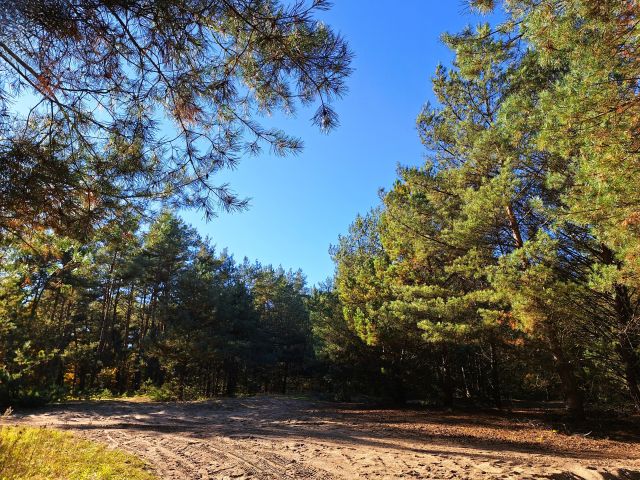 Działka rolna Tuł, ul. Miłosza. Zdjęcie 1