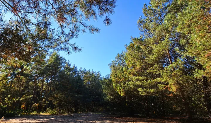 Działka rolna Tuł, ul. Miłosza