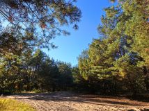 Działka rolna Tuł, ul. Miłosza