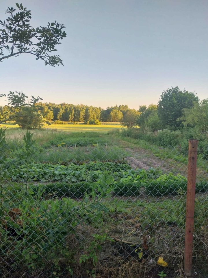 dom wolnostojący, 2 pokoje Brzeziny. Zdjęcie 5