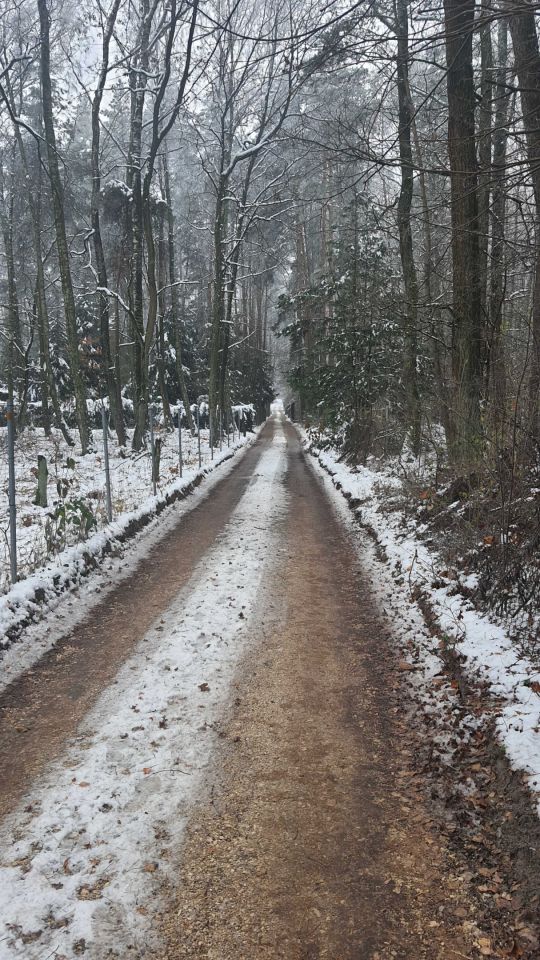 Działka budowlana Zofiówka, ul. Cienista. Zdjęcie 4
