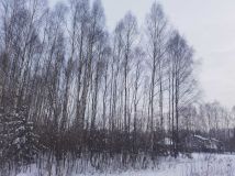 Działka budowlana Giedlarowa. Zdjęcie 3