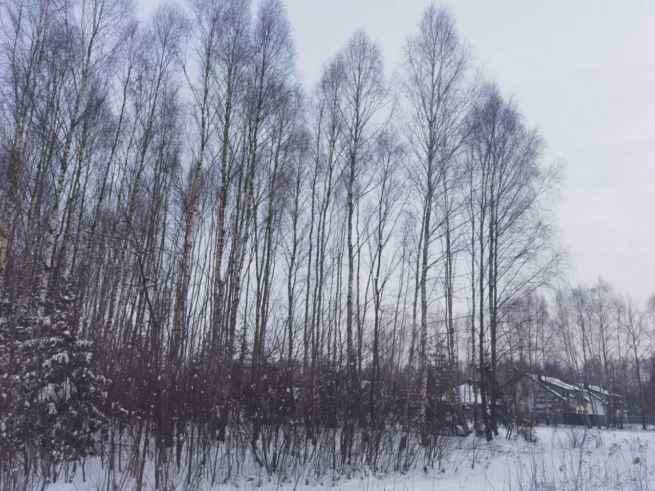 Działka budowlana Giedlarowa. Zdjęcie 4