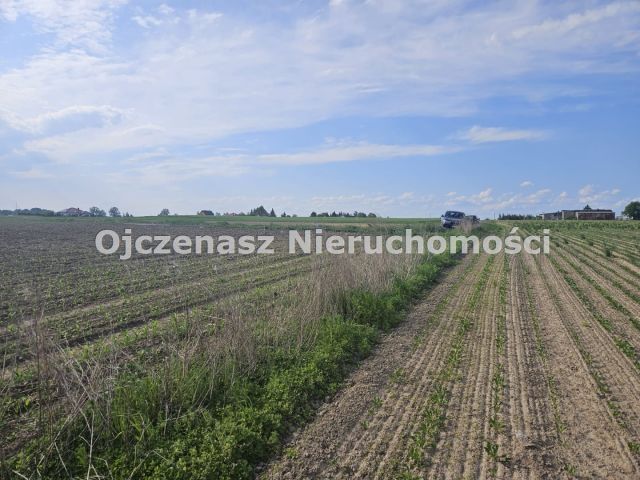 Działka rekreacyjna Dobrcz. Zdjęcie 4