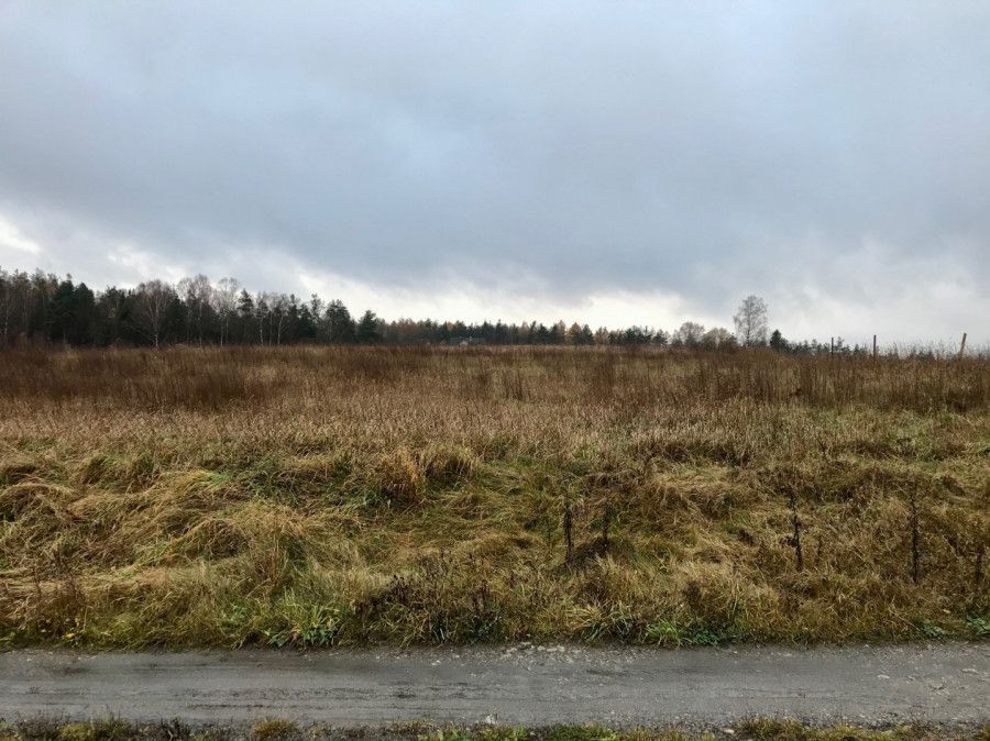 Działka budowlana Borowina, ul. Gdańska. Zdjęcie 5