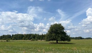 Działka Jedlińsk, ul. Malików