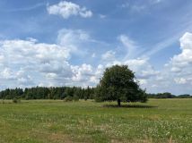 Działka Jedlińsk, ul. Malików. Zdjęcie 1