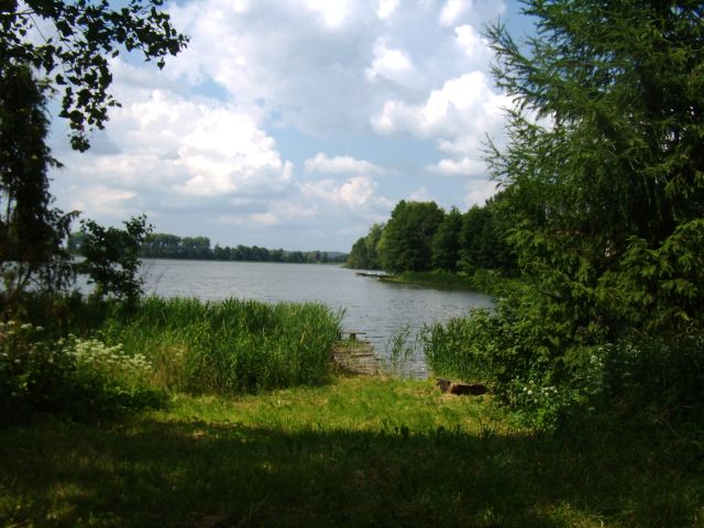 Działka budowlana Cierzpięty. Zdjęcie 1