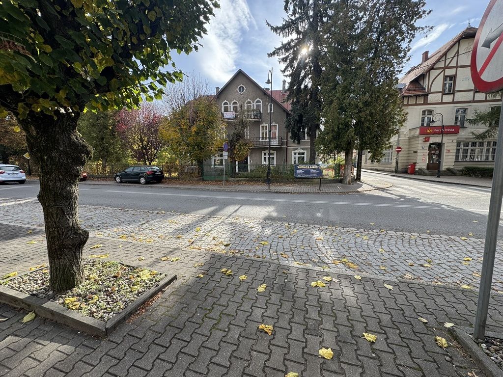 Mieszkanie 4-pokojowe Kudowa-Zdrój, ul. 1 Maja. Zdjęcie 11