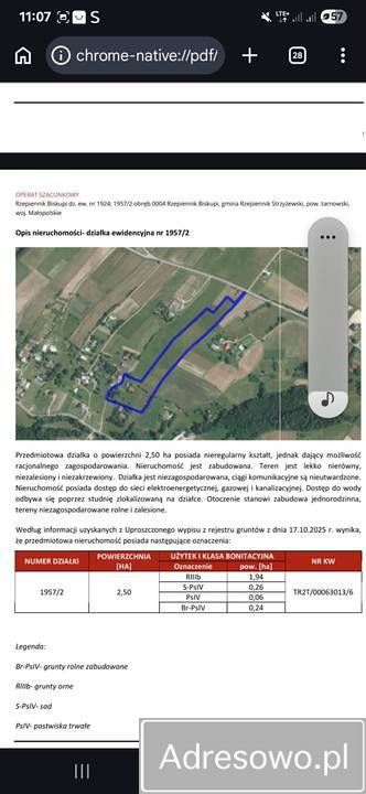 gospodarstwo Rzepiennik Biskupi. Zdjęcie 8