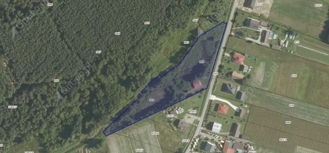 Działka rolno-budowlana Nowa Jastrząbka Jabłoniec. Zdjęcie 1