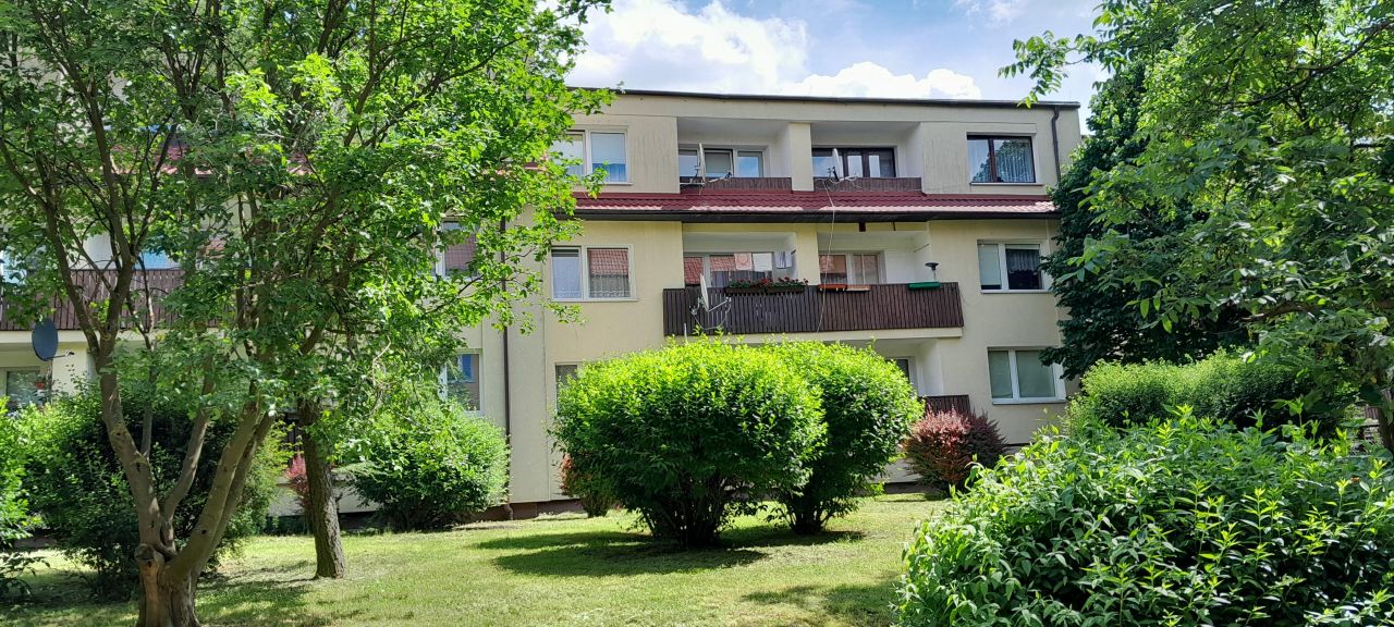 Mieszkanie 3-pokojowe Pyrzyce, ul. Staromiejska. Zdjęcie 4