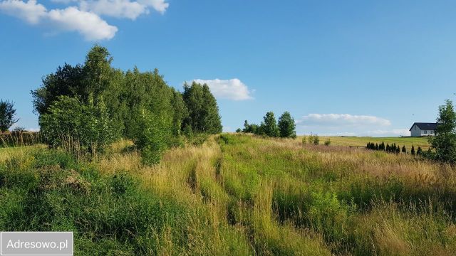 Działka rolno-budowlana Polanka Hallera. Zdjęcie 1