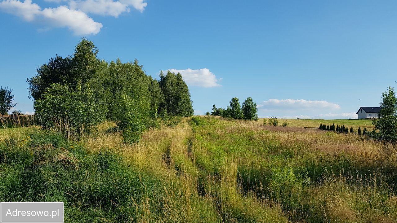 Działka rolno-budowlana Polanka Hallera