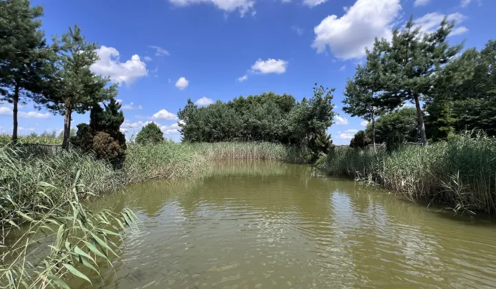 Działka rekreacyjna Ciepielów-Kolonia Ciepielów Drugi