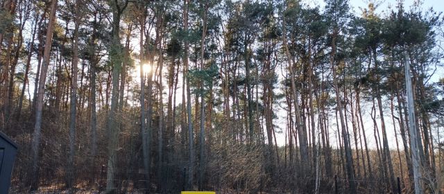 bliźniak, 5 pokoi Wola Chorzelowska Pod Lasem. Zdjęcie 6
