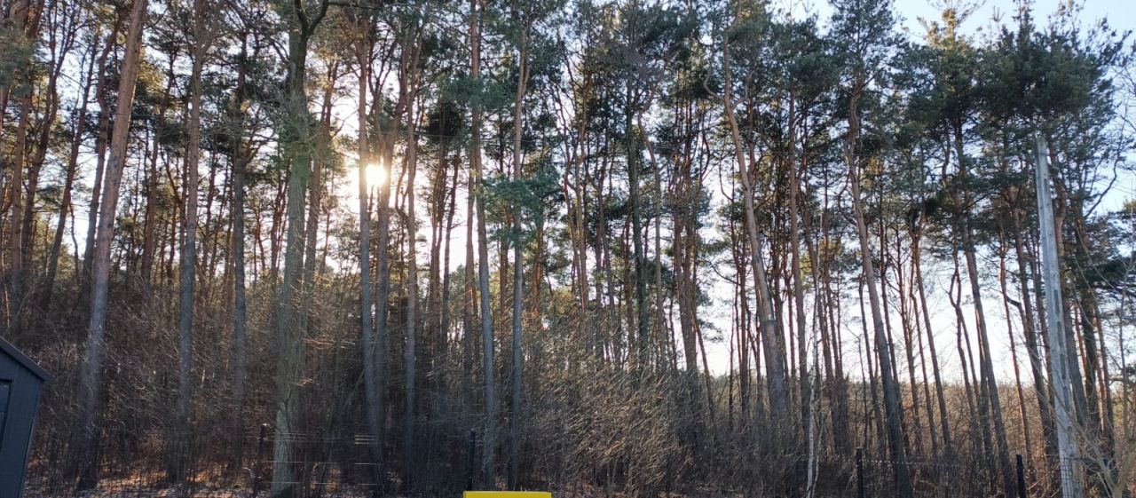 bliźniak, 5 pokoi Wola Chorzelowska Pod Lasem. Zdjęcie 6