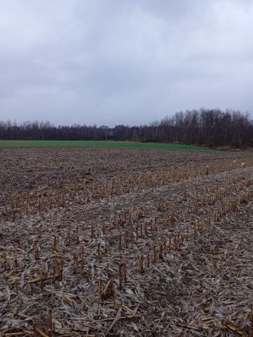 Działka budowlana Gardeja, ul. Graniczna. Zdjęcie 1