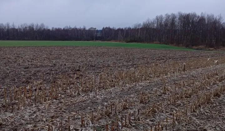 Działka budowlana Gardeja, ul. Graniczna