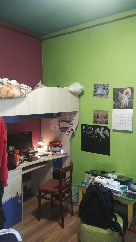 dom szeregowy, 3 pokoje Wolbrom Stare Miasto, ul. Miechowska. Zdjęcie 3