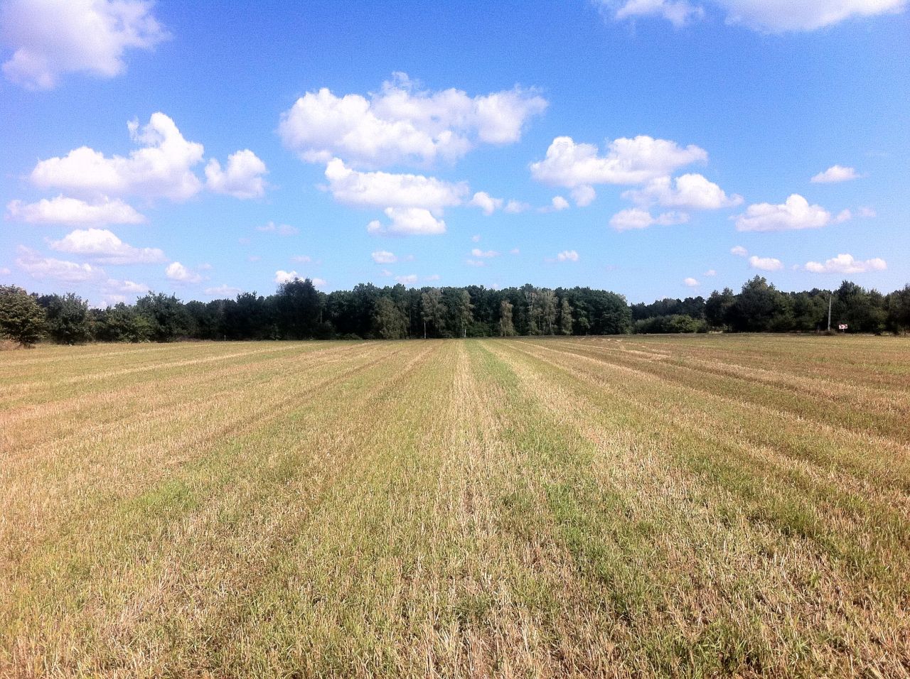 Działka budowlana Trzcianka. Zdjęcie 11