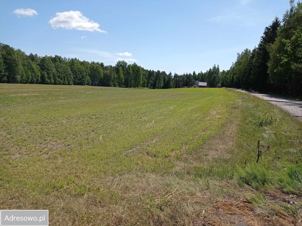 Działka budowlana Walne. Zdjęcie 5