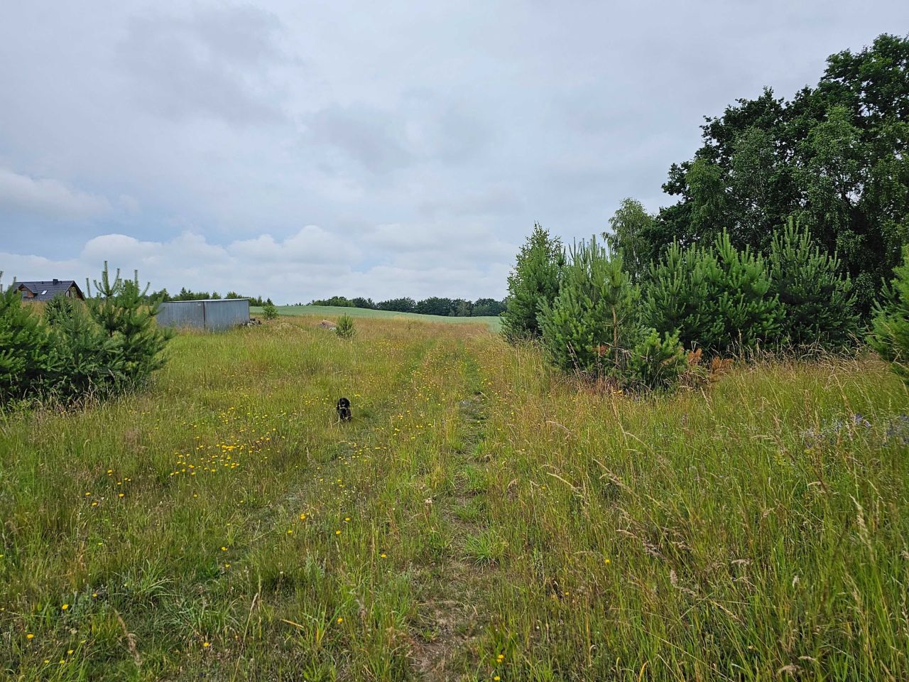 Działka budowlana Nowe Polaszki