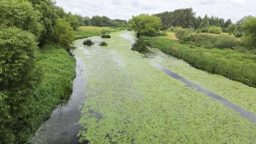 Działka rekreacyjna Królewo. Zdjęcie 2
