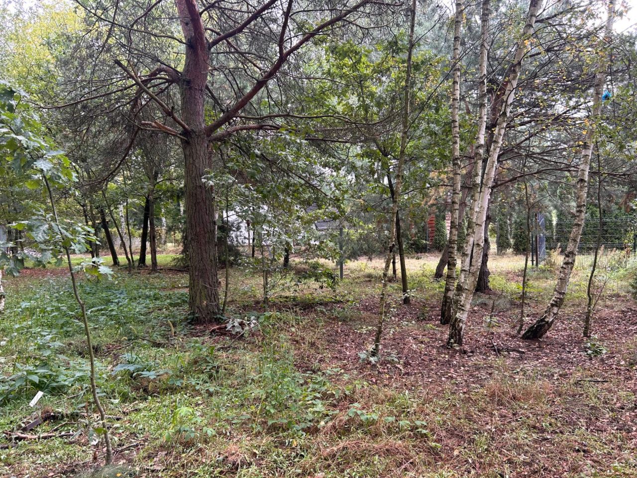 Działka rekreacyjna Mielinek. Zdjęcie 7