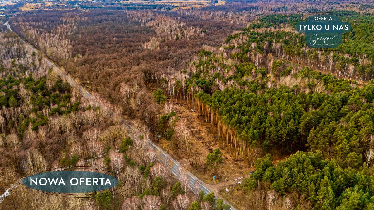 Działka leśna Załuże. Zdjęcie 4