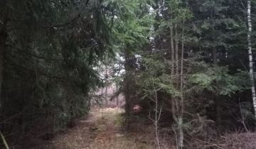 Działka leśna Baraniec