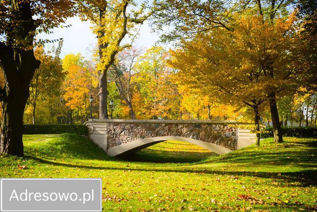 dworek Zborów. Zdjęcie 8