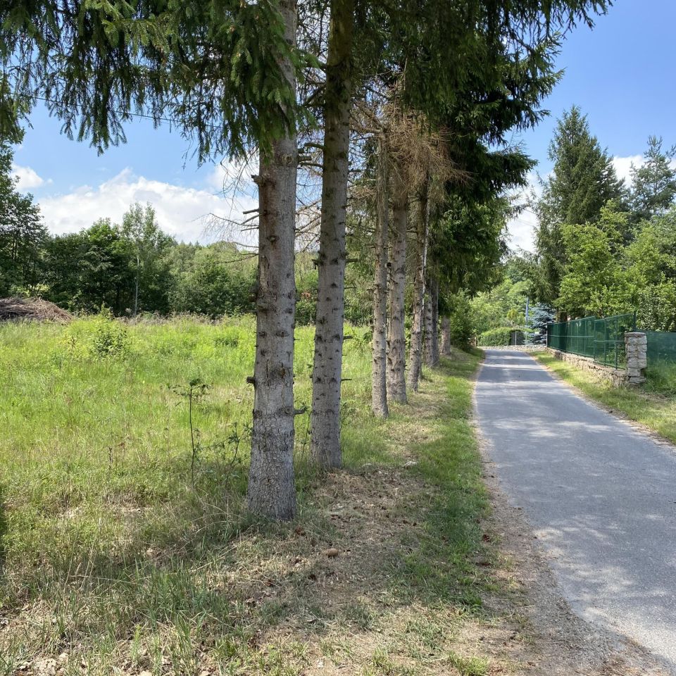 Działka rolno-budowlana Mysłakowice, ul. Czerwony Dworek. Zdjęcie 6