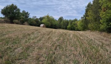 Działka rolna Szwarszowice