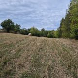 Działka rolna Szwarszowice. Zdjęcie 1