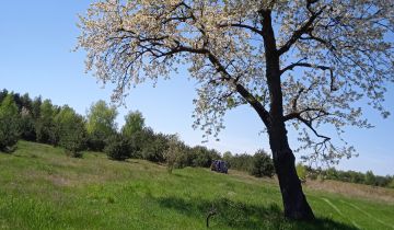 Działka na sprzedaż Krzyżówka Wiejska 1113 m2