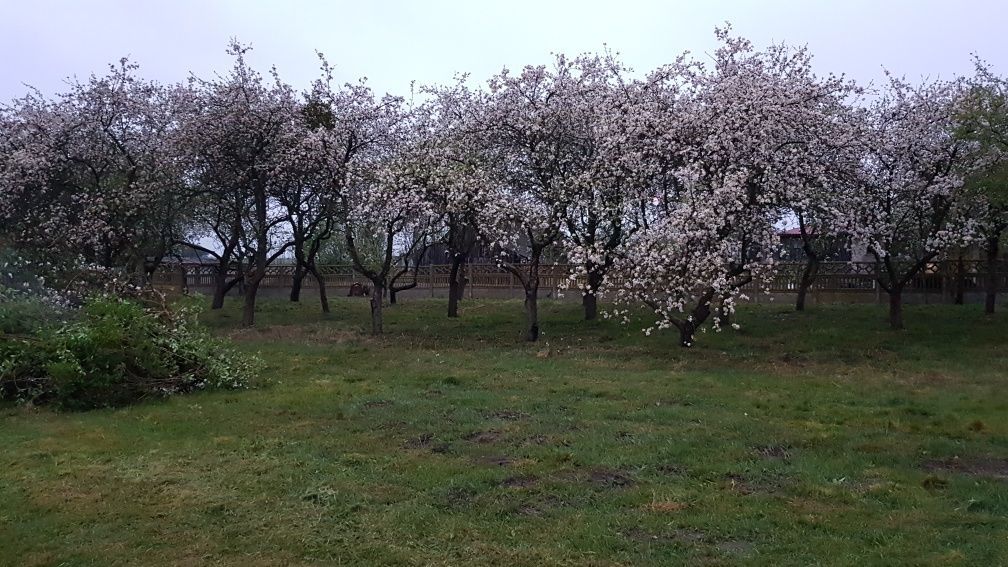 dom wolnostojący Kazanów. Zdjęcie 5