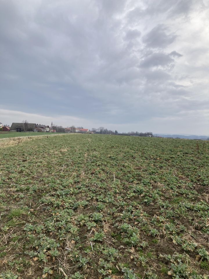 Działka budowlana Gierałtowice Szpitalna, ul. św. Marcina. Zdjęcie 5