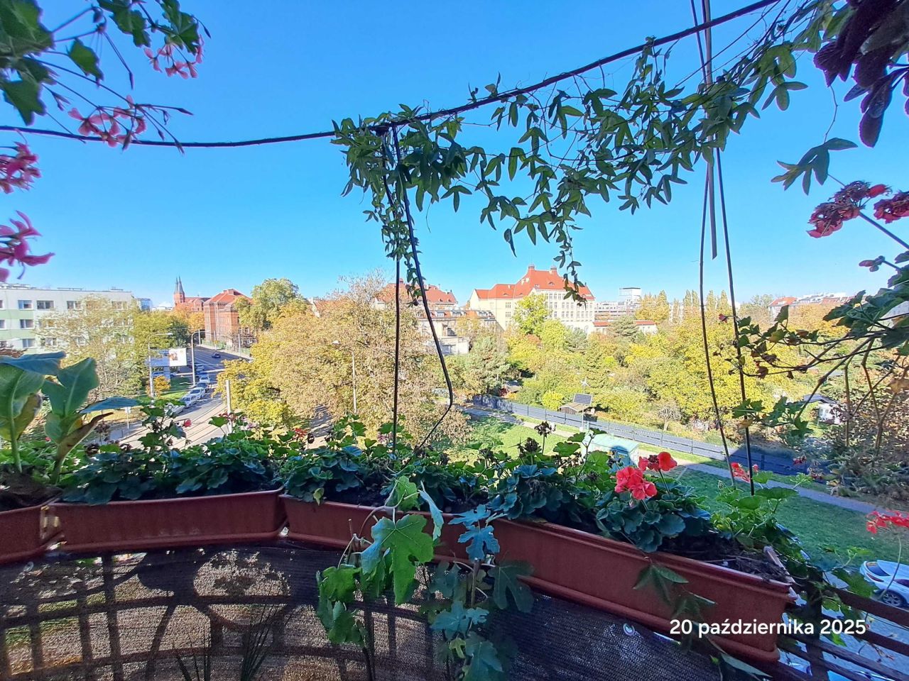 Mieszkanie 2-pokojowe Wrocław Krzyki, ul. Gliniana. Zdjęcie 6